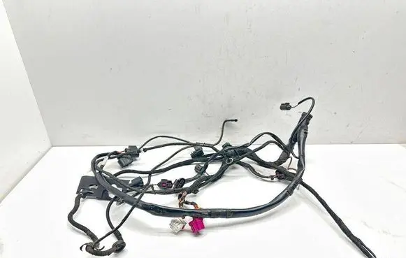 Audi A6 Allroad C6 Other wiring loom 4F1971271AB TAB010337AG