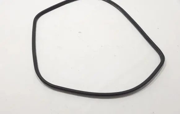 Land Rover Discovery Sport Front door rubber seal FK7220708AC
