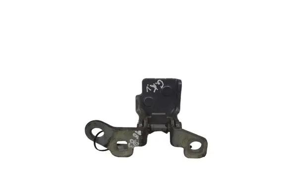 Renault Clio III Rear door upper hinge