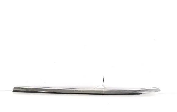 Tesla Model S Rear door trim (molding)