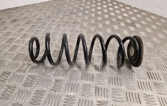 Rear coil spring