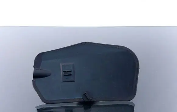 Rear/tail light trim molding