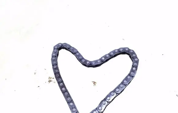 Volkswagen PASSAT B5.5 Oil pump chain 