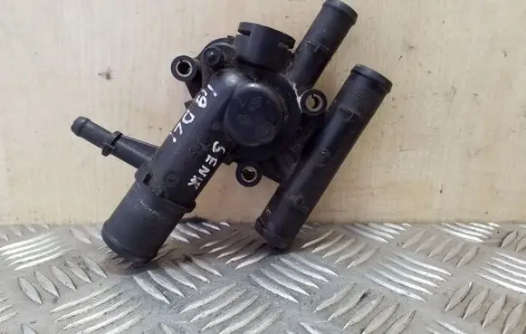 Thermostat/thermostat housing