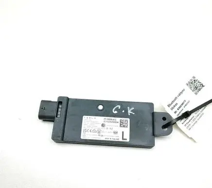 Tesla Model Y Juniper Bluetooth control unit module 196809840C