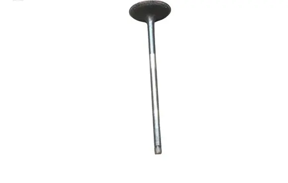 Honda Insight Valve 
