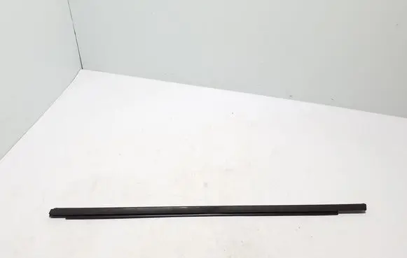 Dacia Sandero III Front door glass trim molding 808210584R