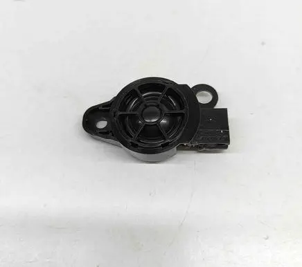 Nissan Leaf II (ZE1) Panel speaker 3224520020 281E13NF0A