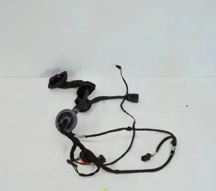 Audi Q7 4L Front door wiring loom