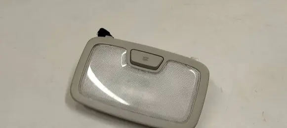 Rear seat light