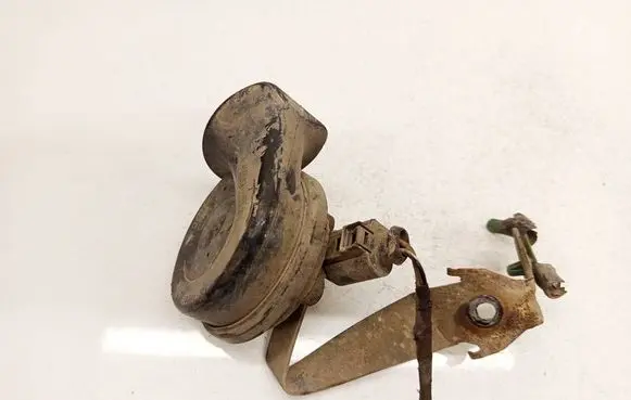 Volkswagen PASSAT B6 Horn signal E1000209