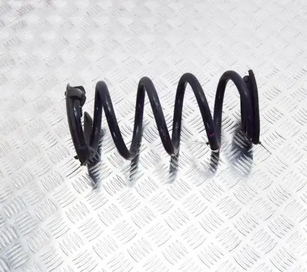 Tesla Model 3 Rear coil spring 104447291E