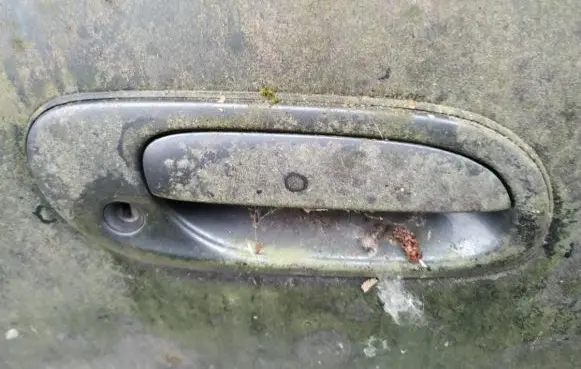 Mazda Xedos 9 Front door exterior handle