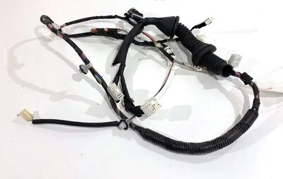 Front door wiring loom