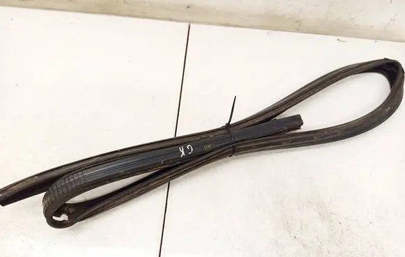Opel Astra H Rubber seal rear door 000205237