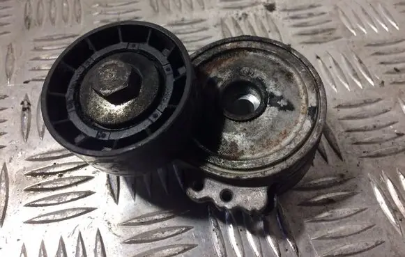 Citroen Berlingo Generator/alternator belt tensioner
