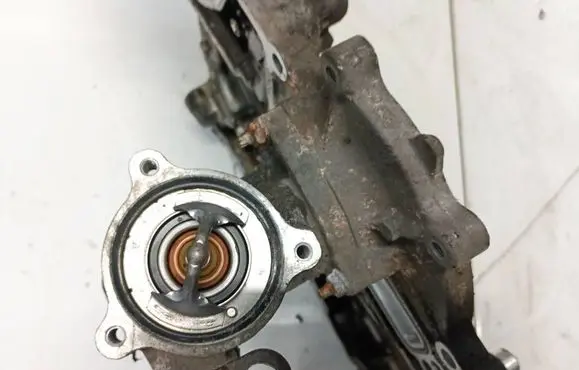 Engine coolant pipe/hose