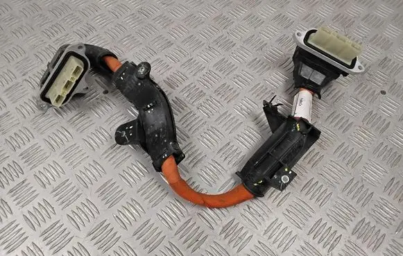 Ford Mach-E I Other wiring loom LJ9814B245AD