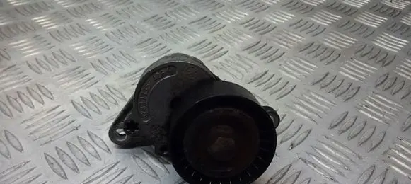 Renault Megane II Alternator belt tensioner pulley 8200357406