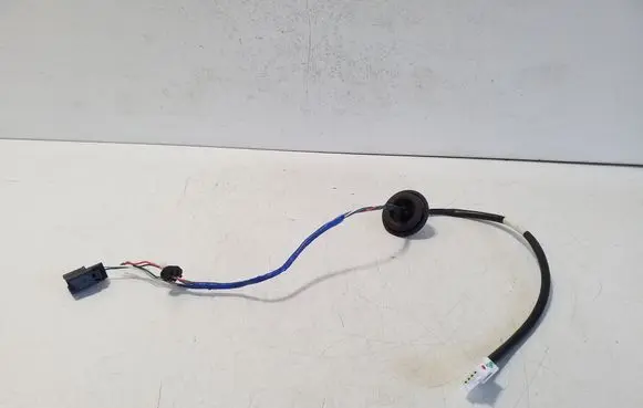 Toyota bZ4X Other wiring loom