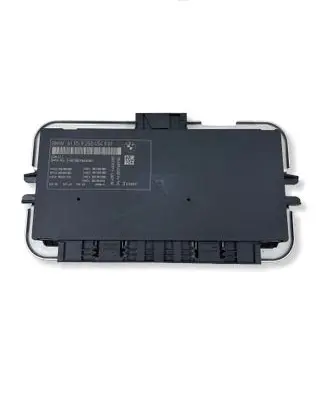 BMW 5 F10 F11 Light module LCM 9250454 005002003