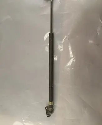 Tailgate strut