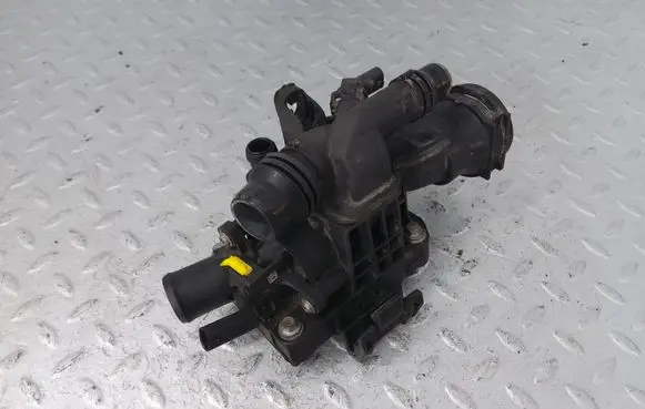 Thermostat/thermostat housing