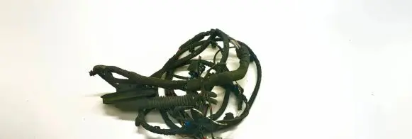Front door wiring loom