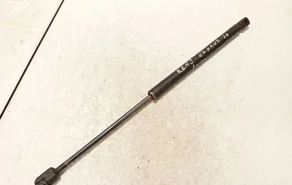 Tailgate/trunk strut/damper
