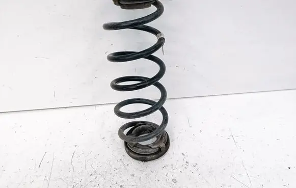 Honda Civic X Rear coil spring 5244TBAA120M1