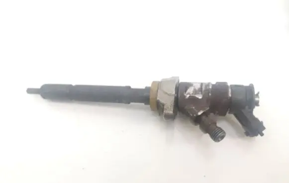Citroen Berlingo Fuel injector 0445110311 8862405341412