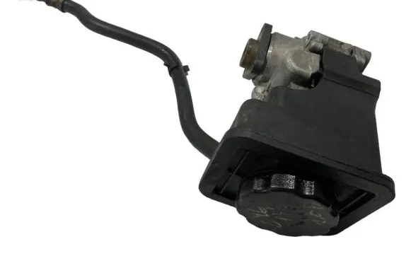 BMW 3 E46 Power steering pump 1095155