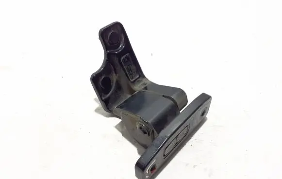 Rear door lower hinge