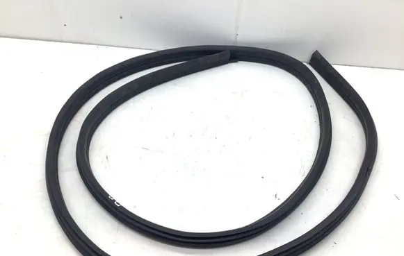 Dacia Spring Front door rubber seal