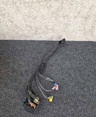 Other wiring loom
