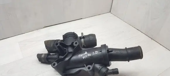 Thermostat/thermostat housing
