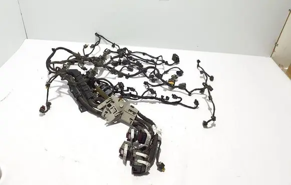 Mercedes-Benz AMG GT 4 x290 w290 Engine installation wiring loom A2561505800