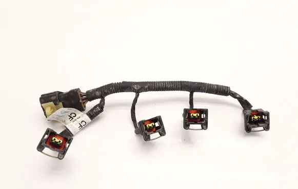 Chevrolet Aveo Fuel injector wires 9M18KWC T255IJT