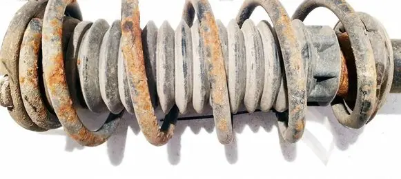 Peugeot 407 Front coil spring 