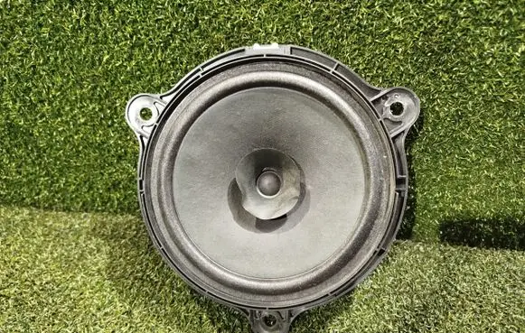 Renault Trafic III (X82) Front door speaker 577449 28156 3SG0A
