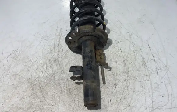 Ford Transit - Tourneo Connect Front shock absorber with coil spring DV6118K001LC E5630101
