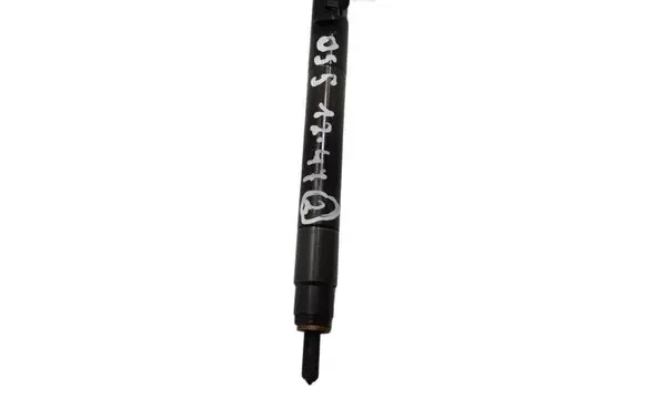Citroen DS5 Fuel injector 9686191080