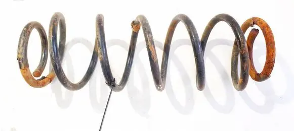Rear coil spring