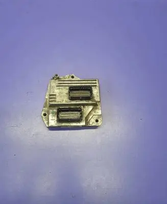 Engine control unit/module ECU