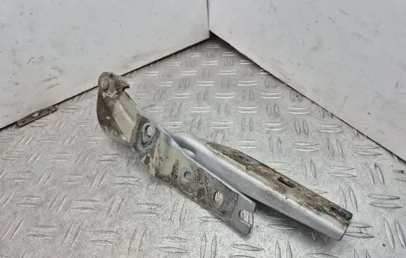 Engine bonnet/hood hinges