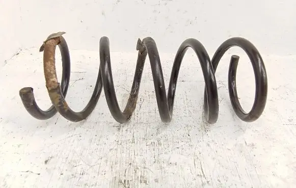 Rear coil spring