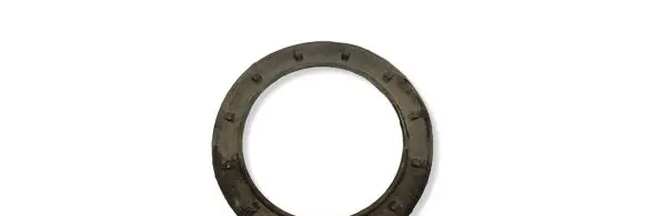 BMW X5 E53 In tank fuel pump screw locking ring/nut 1182904