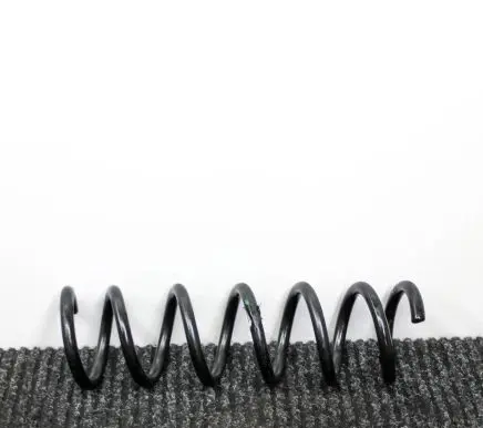 Rear coil spring