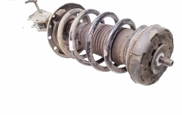 Opel Insignia A Front shock absorber with coil spring 22951830 367327926