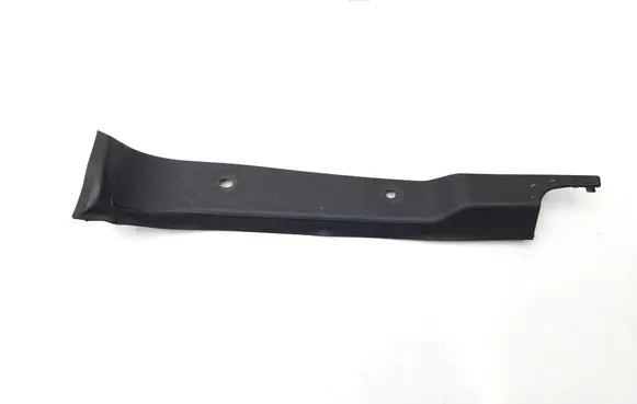 Rear/tail light trim molding
